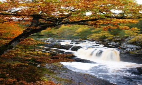 Zdjcie WIELKA BRYTANIA / Szkocja / Rogie falls / KONKURS