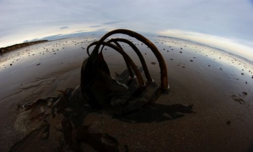 Zdjęcie WIELKA BRYTANIA / Szkocja / Lossiemouth / KONKURS