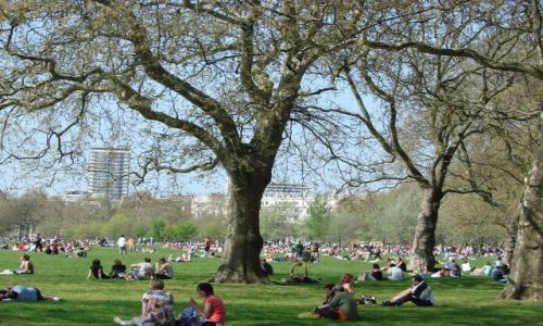 Zdjecie WIELKA BRYTANIA / brak / Londyn / Hyde Park