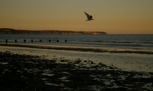 Zdjęcie WIELKA BRYTANIA / Bridlington / Bridlington / Konkurs-natura