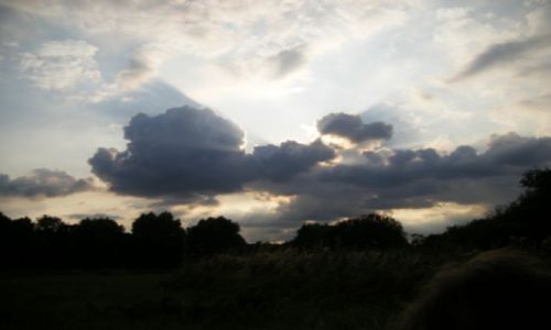 Zdjecie WIELKA BRYTANIA / Londyn / Stanford park / idzie na burz, idzie na wiatr