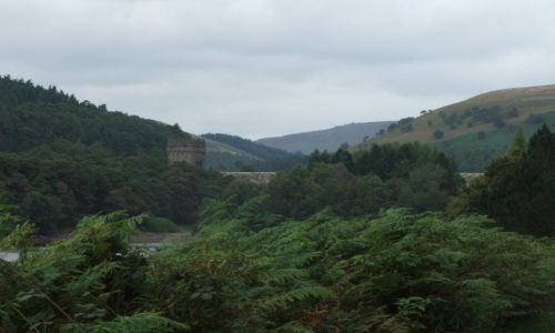 Zdjęcie WIELKA BRYTANIA / Peak District / Derwent Reservoir / Morze zieleni
