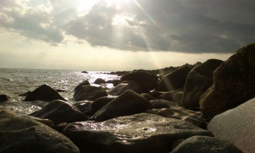 Zdjecie WIELKA BRYTANIA / hampshire / milford on sea / nadmorskie skaly
