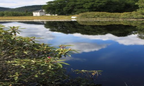 Zdjecie WIELKA BRYTANIA / Szkocja / Loch Ness area / Once upon a time in Loch Ness