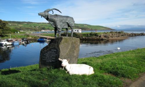 Zdjecie WIELKA BRYTANIA / Irlandia Pnocna / Cushendun / Kozioki