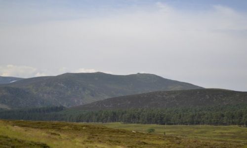 Zdjecie WIELKA BRYTANIA / Szkocja / W drodze nad Loch Muick / pi�kna i tajemnicza Szkocja