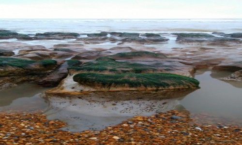 Zdjecie WIELKA BRYTANIA / East Sussex / Hastings / Cuda z odpywu