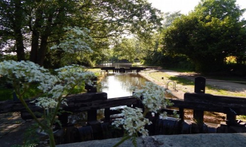 Zdjęcie WIELKA BRYTANIA / Północna Anglia / Greater Manchester / Rochdale Canal