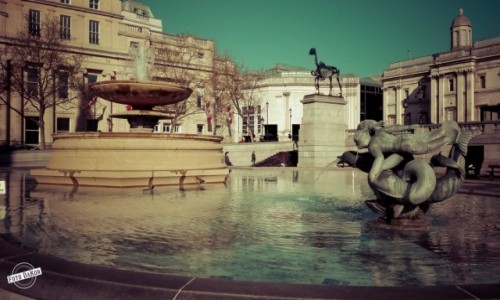 Zdjęcie WIELKA BRYTANIA / - / London / Trafalgar Square