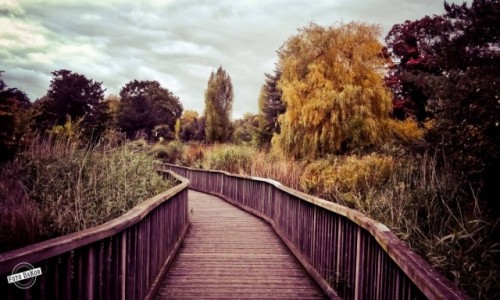 Zdjęcie WIELKA BRYTANIA / - / London / Dulwich Park