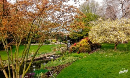 Zdj�cie WIELKA BRYTANIA / - / Hyde Park, London / Hyde Park