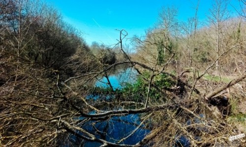 Zdjęcie WIELKA BRYTANIA / - / West Drayton / West Drayton