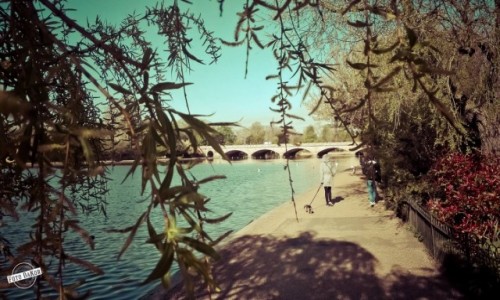 Zdj�cie WIELKA BRYTANIA / - / Hyde Park, London / Hyde Park