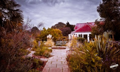 Zdjęcie WIELKA BRYTANIA / - / Dulwich Park, London / Dulwich Park