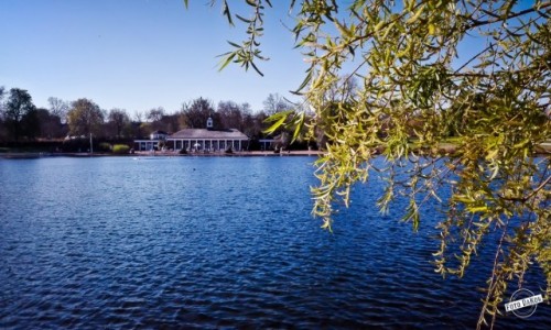 Zdjęcie WIELKA BRYTANIA / - / London / Hyde Park