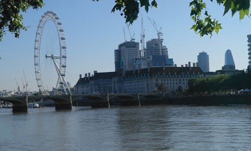 Zdjecie WIELKA BRYTANIA / City of London / Londyn / London Eye