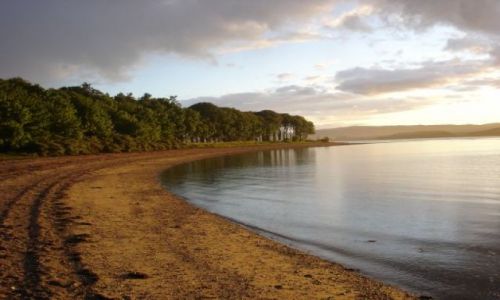 Zdjęcie WIELKA BRYTANIA / Scotland,  Argyll / Loch Fyne / Loch Fyne