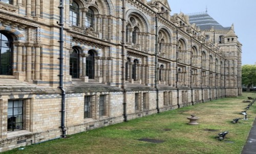 Zdjęcie WIELKA BRYTANIA / Londyn  / Londyn  / Muzeum Historii Naturalnej