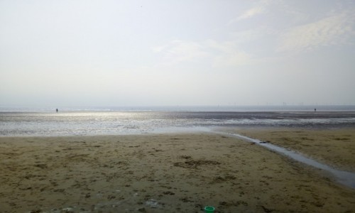 Zdjecie WIELKA BRYTANIA / Mersyside / Liverpool / Crosby beach