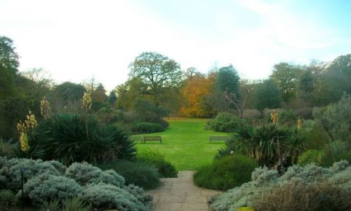 Zdjęcie WIELKA BRYTANIA / brak / Londyn - Kew Gardens / w Kew Gardens