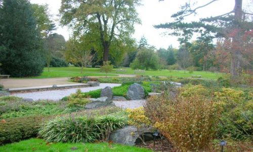 Zdjęcie WIELKA BRYTANIA / brak / Londyn-Kew Gardens / jesien w Kew Gardens