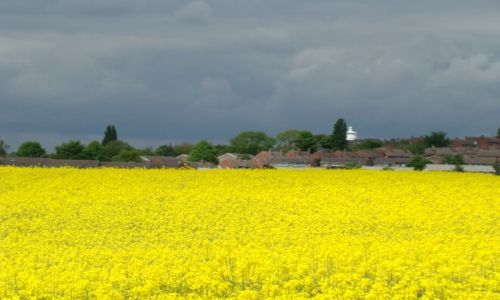 Zdjecie WIELKA BRYTANIA / West-Yorkshire / okolice  Dewsbury / zbiera sie na wiosenna burze