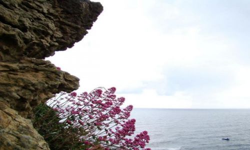 Zdjęcie WIELKA BRYTANIA / North  East   England / Scarborough / widok na Moze Polnocne