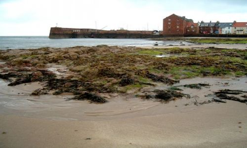 Zdjecie WIELKA BRYTANIA / brak / Szkocja / North Berwick2