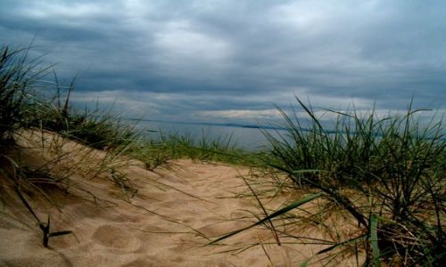 Zdjecie WIELKA BRYTANIA / brak / Szkocja / Gullane