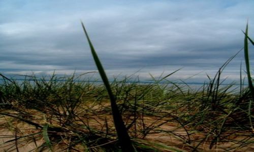 Zdjecie WIELKA BRYTANIA / brak / Szkocja / Gullane2
