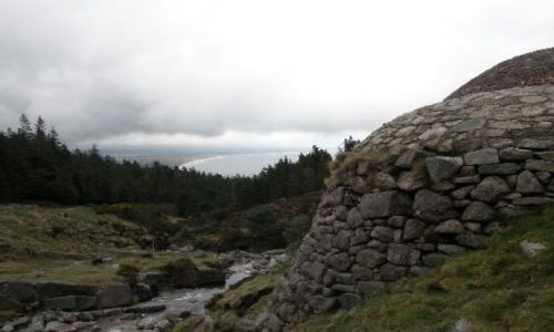 Zdjęcie WIELKA BRYTANIA / Down / Newcastle / widok z górki