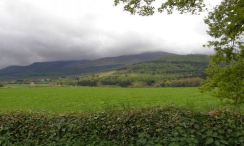 Zdjęcie WIELKA BRYTANIA / Down / Newcastle / Góry Mourne