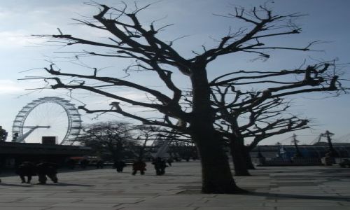 Zdjęcie WIELKA BRYTANIA / Londyn / Okolice National Theatre / ... rzut oka na London Eye ....
