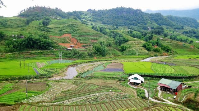 Zdj cia: Sa Pa, Lao Cai, Pola ryżowe, WIETNAM Zdj cia: Sa Pa, Lao Cai, Pola ryżowe, WIETNAM