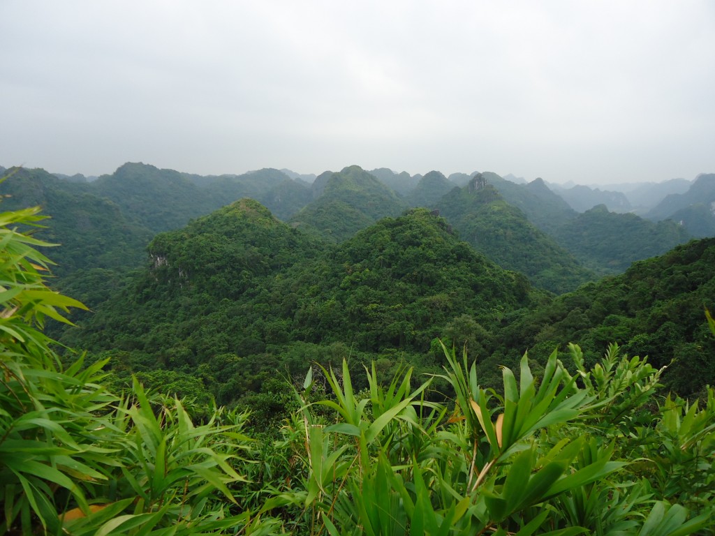 Zdjęcia: CaT Ba, Prowincja Quang Ninh, Panorama Cat Ba, WIETNAM Zdjęcia: CaT Ba, Prowincja Quang Ninh, Panorama Cat Ba, WIETNAM