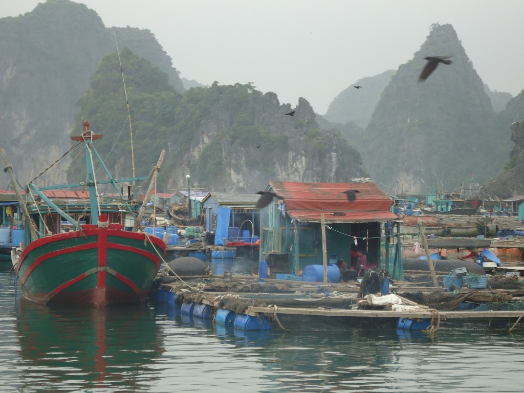 Zdjęcia: Zatoka Ha Long, Quang Ninh / północny Wietnam, Pływające wioski, WIETNAM Zdjęcia: Zatoka Ha Long, Quang Ninh / północny Wietnam, Pływające wioski, WIETNAM