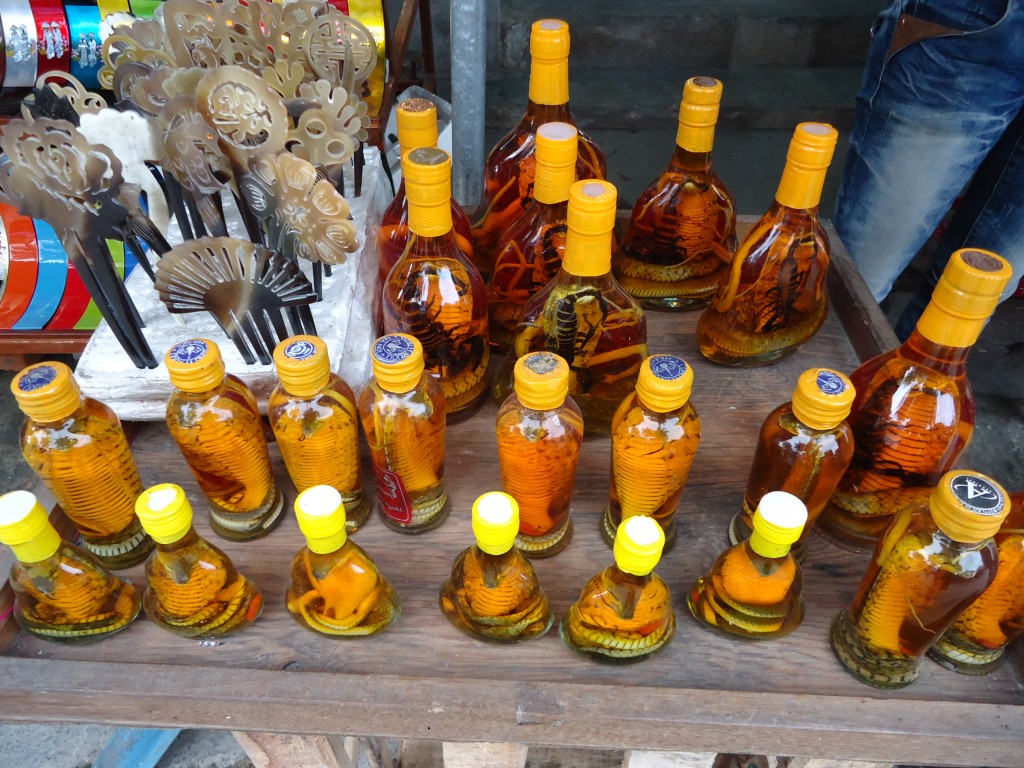 Zdjęcia: Hoi An, Quang Nam / środkowy Wietnam, Na wszystkie choroby, WIETNAM Zdjęcia: Hoi An, Quang Nam / środkowy Wietnam, Na wszystkie choroby, WIETNAM