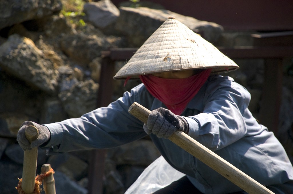 Zdjęcia: Okolice Ninh Binh, Ninh Binh, Wioślarka, WIETNAM Zdjęcia: Okolice Ninh Binh, Ninh Binh, Wioślarka, WIETNAM