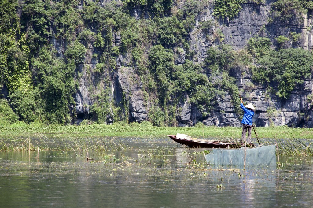 Zdjęcia: Okolice Ninh Binh, Ninh Binh, Rybak, WIETNAM Zdjęcia: Okolice Ninh Binh, Ninh Binh, Rybak, WIETNAM