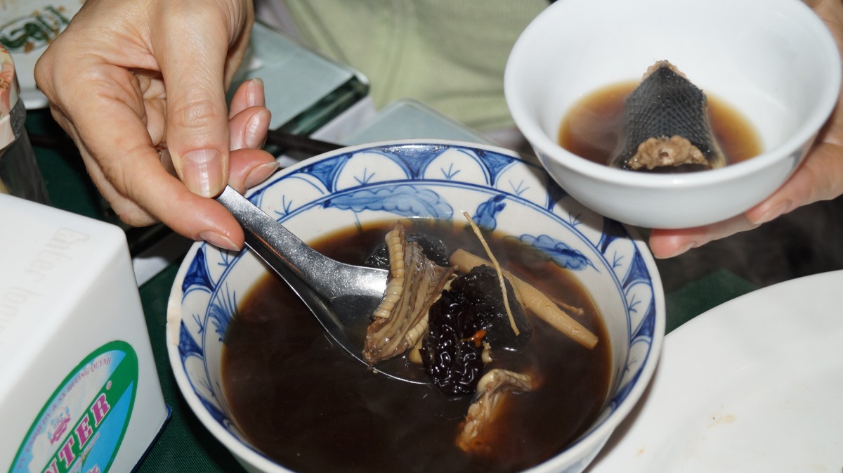 Zdjęcia: Restauracja, Hanoi, Potrawa z węża, WIETNAM Zdjęcia: Restauracja, Hanoi, Potrawa z węża, WIETNAM