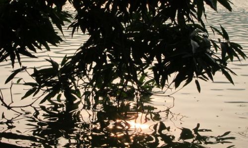 Zdjecie WIETNAM / - / Hanoi / poza zgielkiem wielkiego miasta