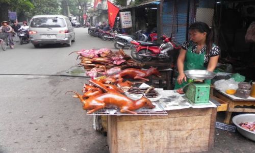 Zdjecie WIETNAM / hanoi / targ / targ z miesem  z psow