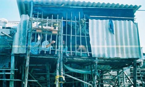 Zdjęcie WIETNAM / Azja / Wietnam / Zima w Wietnamie 9