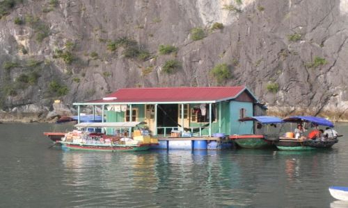 Zdjecie WIETNAM / halong bay / zatoka / zycie w zatoce 