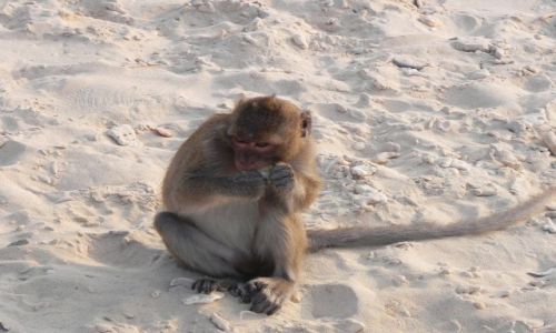 Zdjęcie WIETNAM / zatoka halong bay / .. / lunch na plazy
