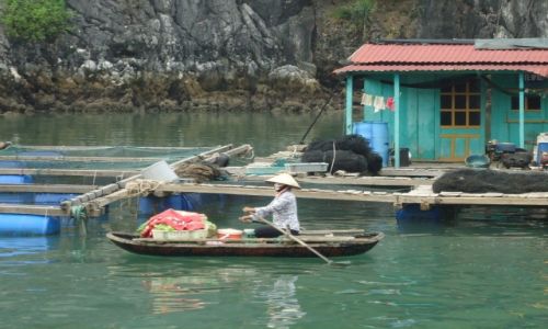 Zdjecie WIETNAM / Quang Ninh / pnocny Wietnam / Zatoka Ha Long / Transport nawodny