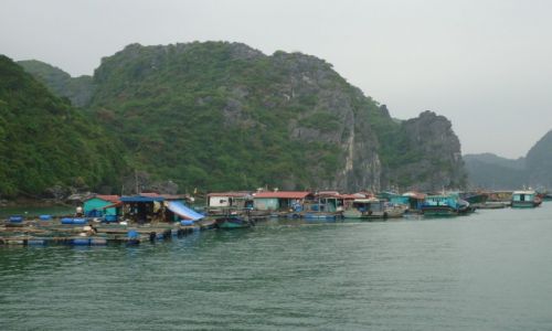 Zdjęcie WIETNAM / Quang Ninh / północny Wietnam / Zatoka Ha Long / Pływające wioski (2)