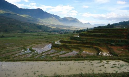Zdjecie WIETNAM / Lao Cai / Sa Pa / Pola ryowe