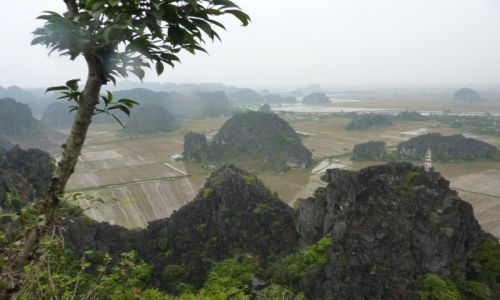 Zdjecie WIETNAM / Ninh Binh / pola ryowe / suchy Ha Long 