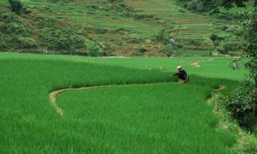 Zdjecie WIETNAM / Lao Cai / Sapa / Sapa widoczki